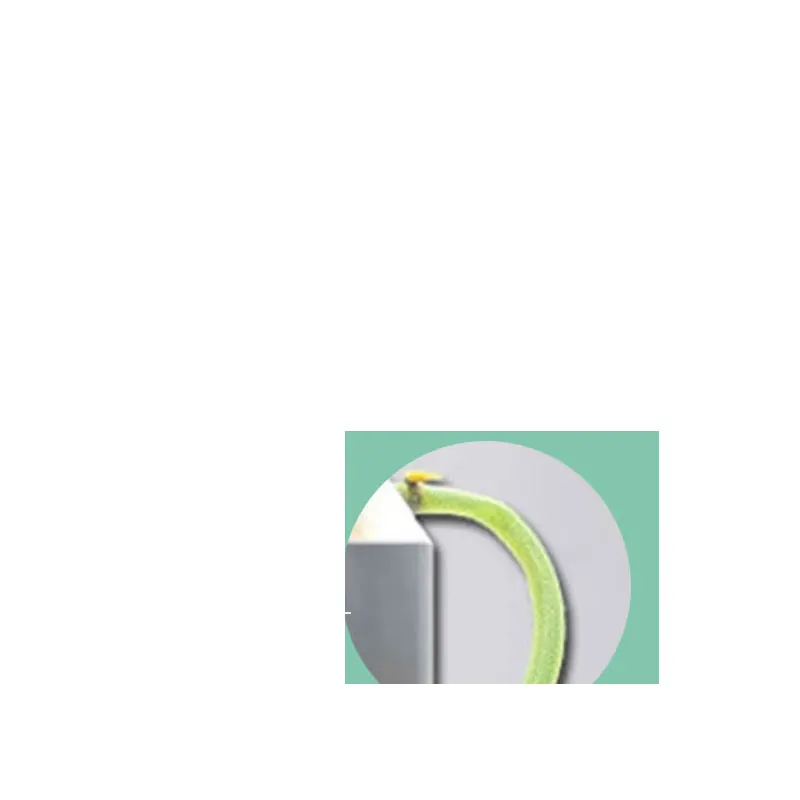 

Stainless Steel Hard Boiled Egg Peeler Egg Shell Peeling Machine Chicken Egg Peeling Machine Price