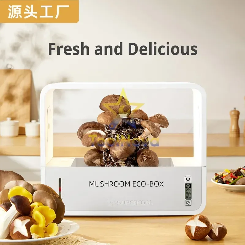 2026*Hotsale Mushroom Ecological Box English Version: Intelligent Mushroom Planting Machine, Shiitake Mushroom Cultivator,