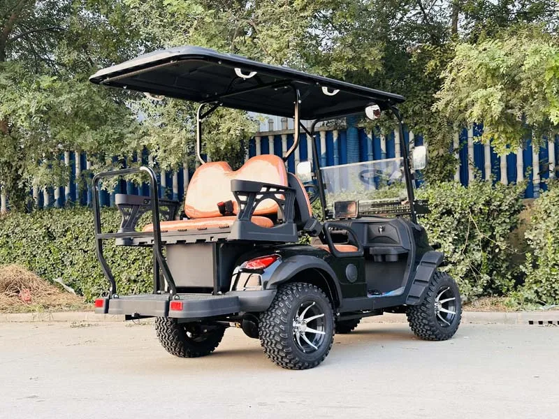 سيارة جولف كهربائية كلاسيكية فاخرة عالية الجودة بسعر رخيص مع توصيل سريع #6