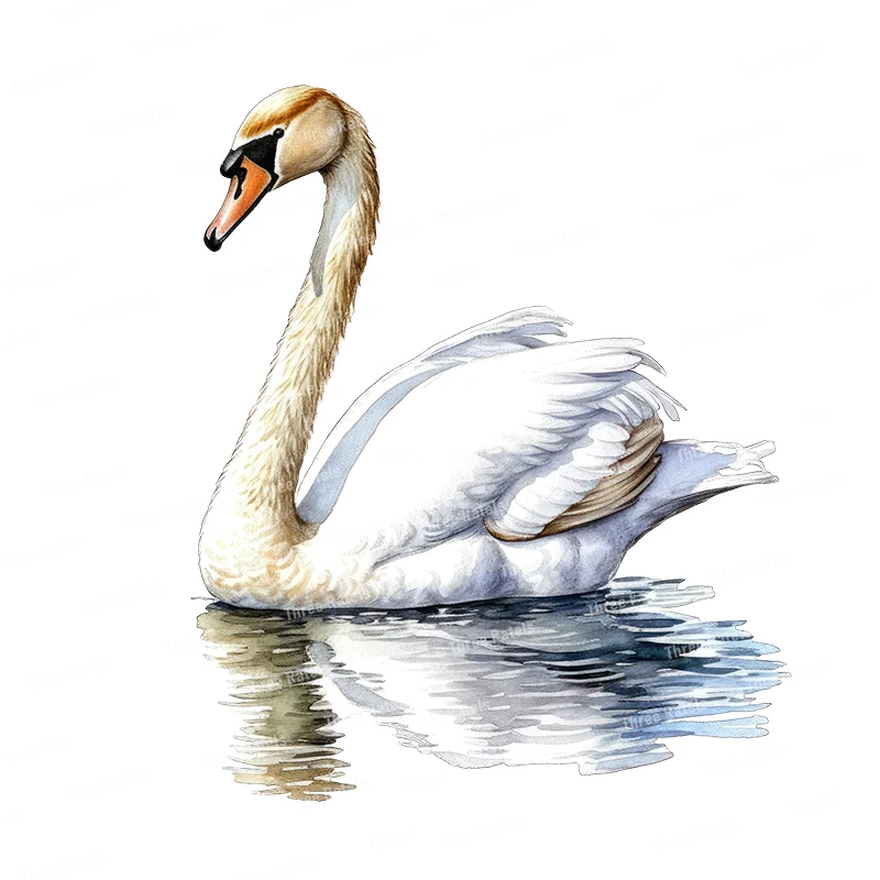 Three Ratels QB30 Elegant White Swan Art Wall Decal Animal Sticker for Home Decoration