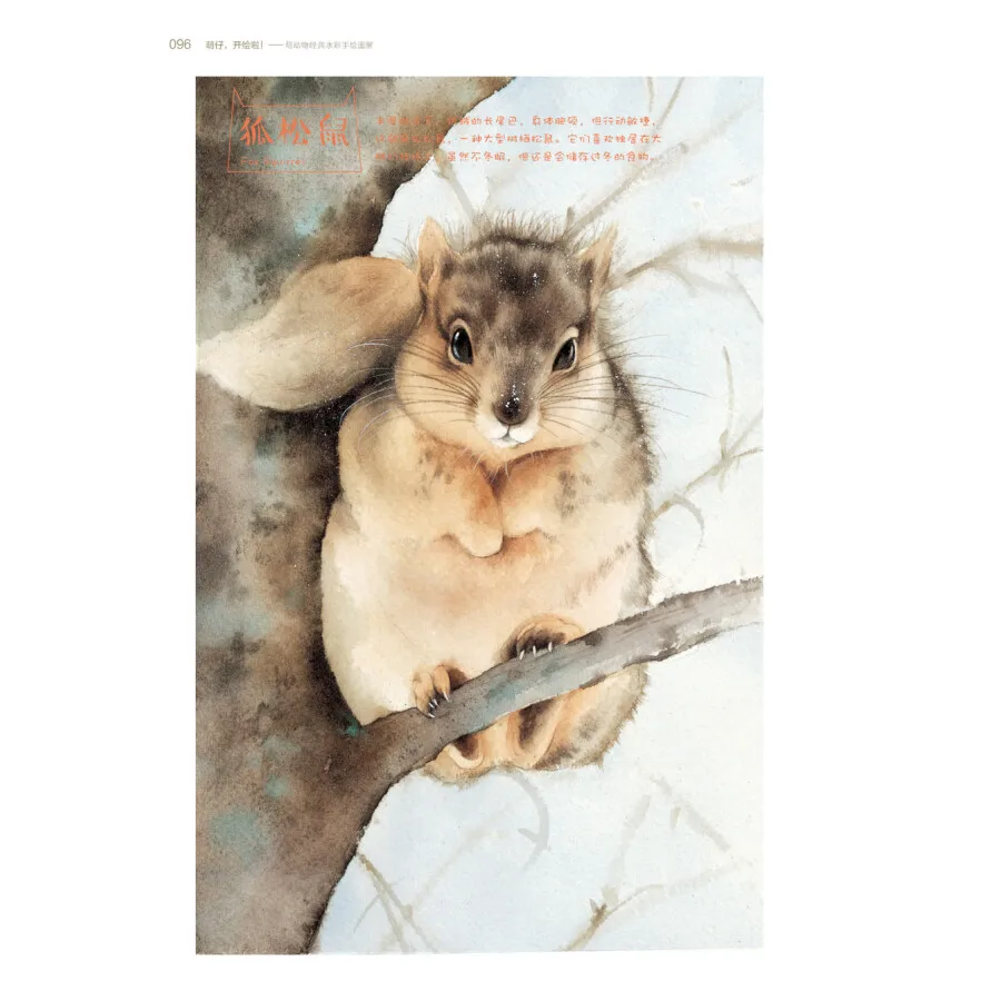 Cute Animal Classic Watercolor hand-painted illustration Painting Drawing Art Book