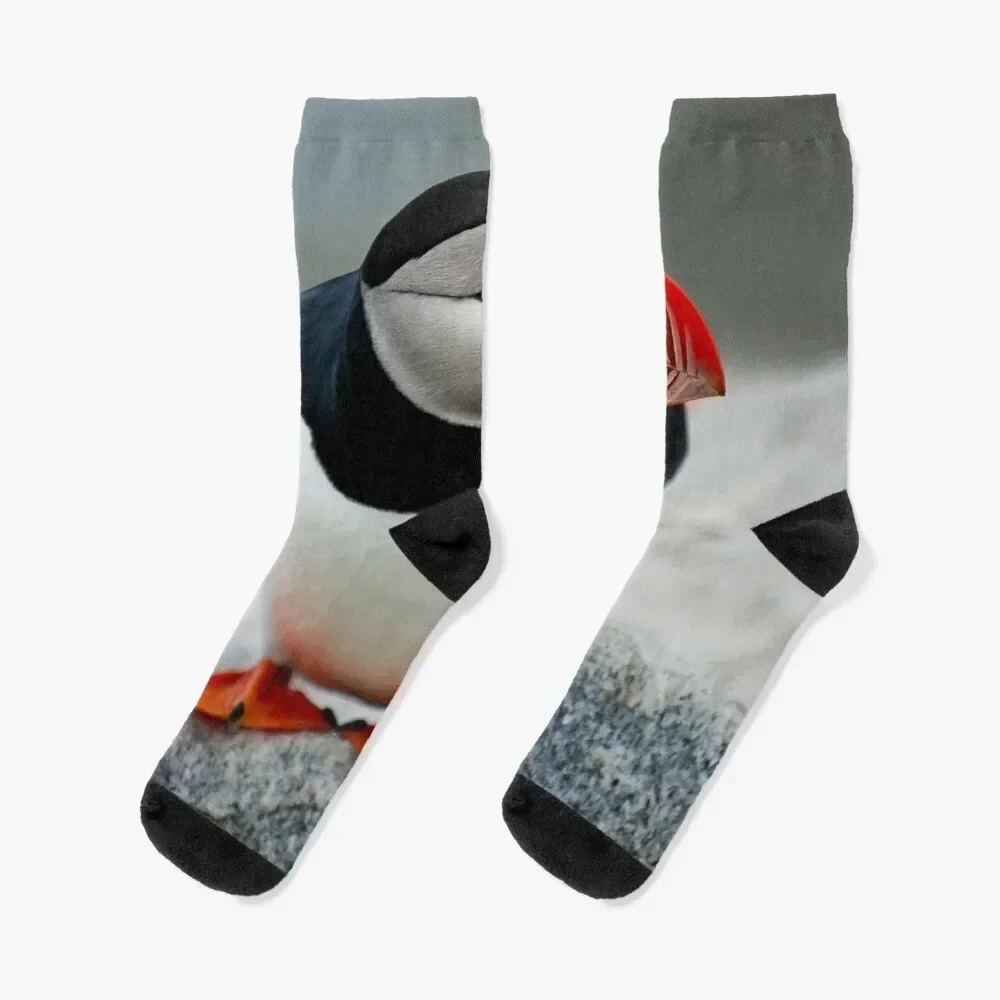

Puffin Socks hiking custom sports winter ankle Socks Woman Men's