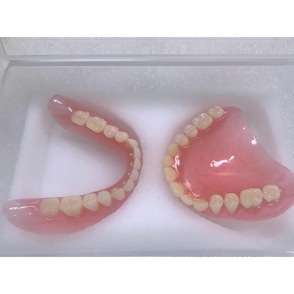 Modelo de Dientes Completos para Adultos Mayores, Suministros de Exhibición, Dentaduras Completas Removibles, Prótesis Dentales, Entrenamiento para Estudiantes de Odontología