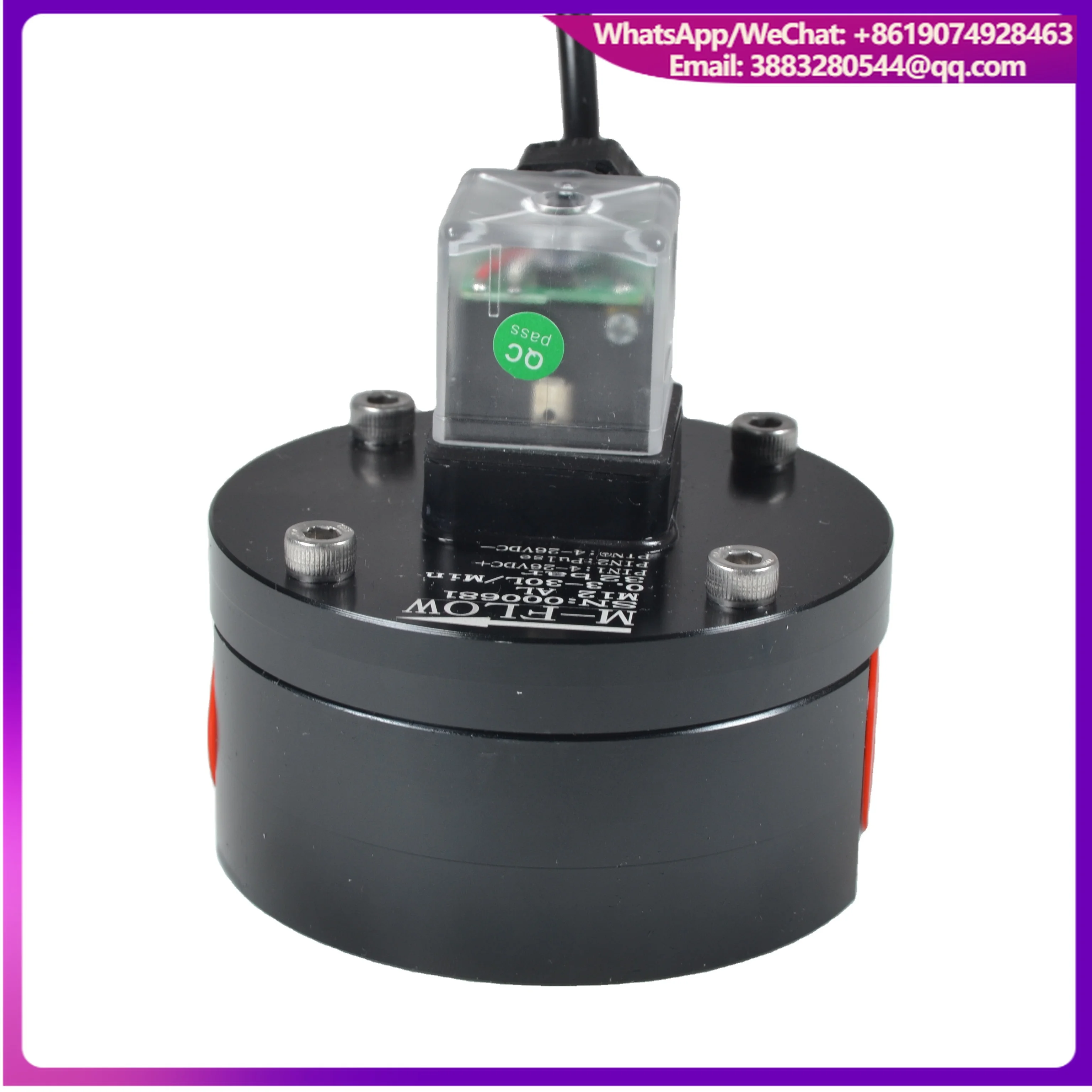 0.3~30 L/min Boat Engine Diesel Oil Consumption Inlet Pipe Return Pipe Flow Instrument Micro Oval Gear Flow Meter