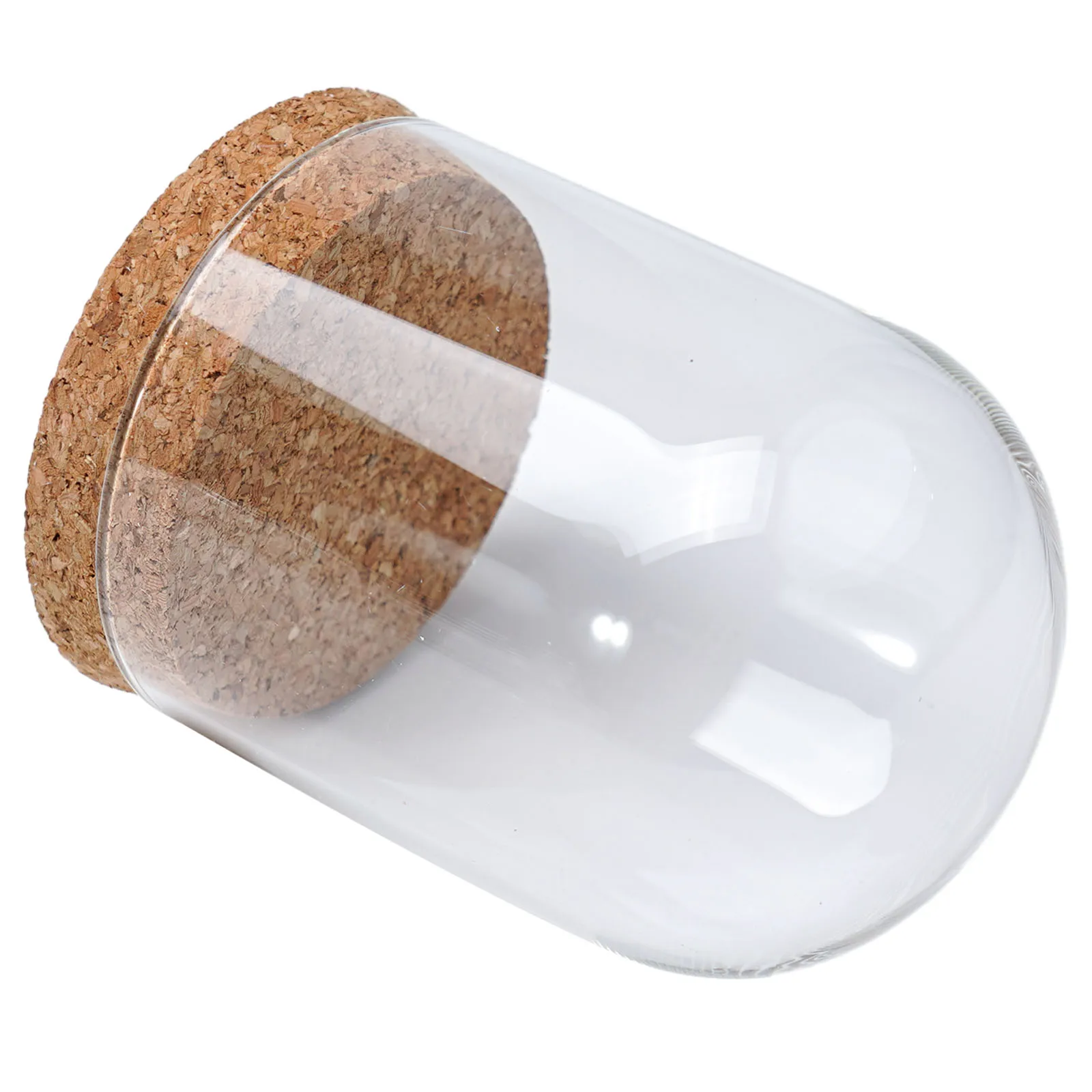 Decorative Glass Dome Cover for Succulent Plants Vase with Wood Cork Base for Enhancing Bedroom and Office Ambience