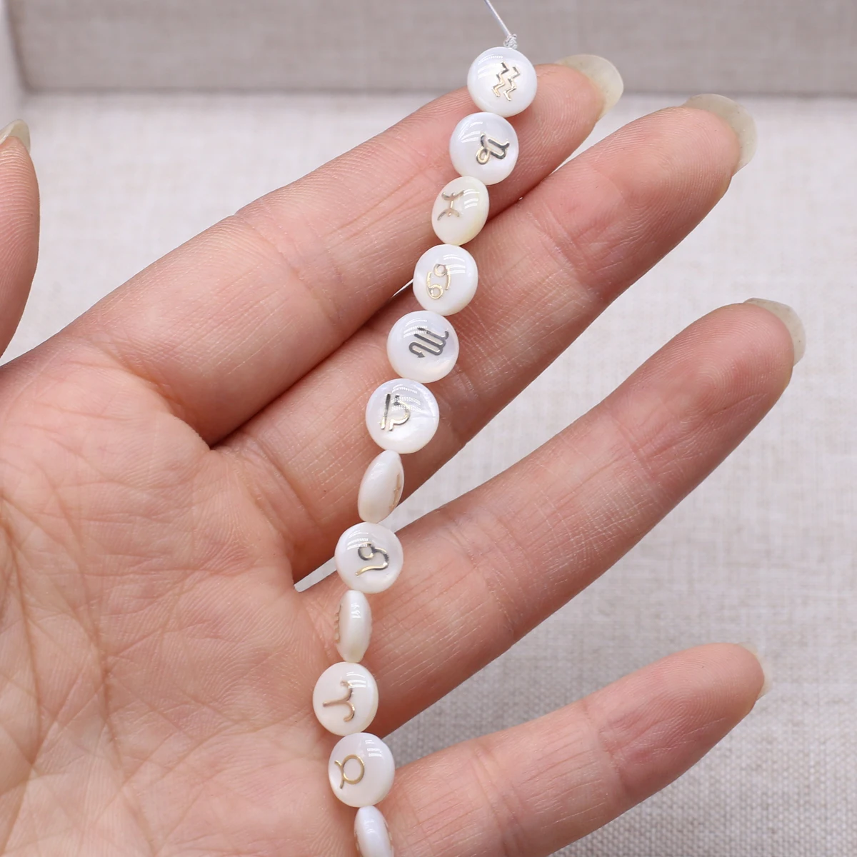 8x8mm Round Natural Shell Beads 12 Zodiac Shell Semi-Finished Beads for Jewelry Making DIY Necklace Bracelet Accessory Wholesale