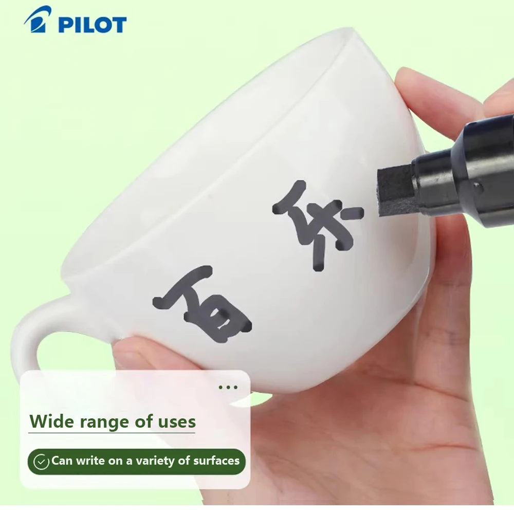 Japan PILOT Permanent Marker Logistics Advertising Box Head Large
