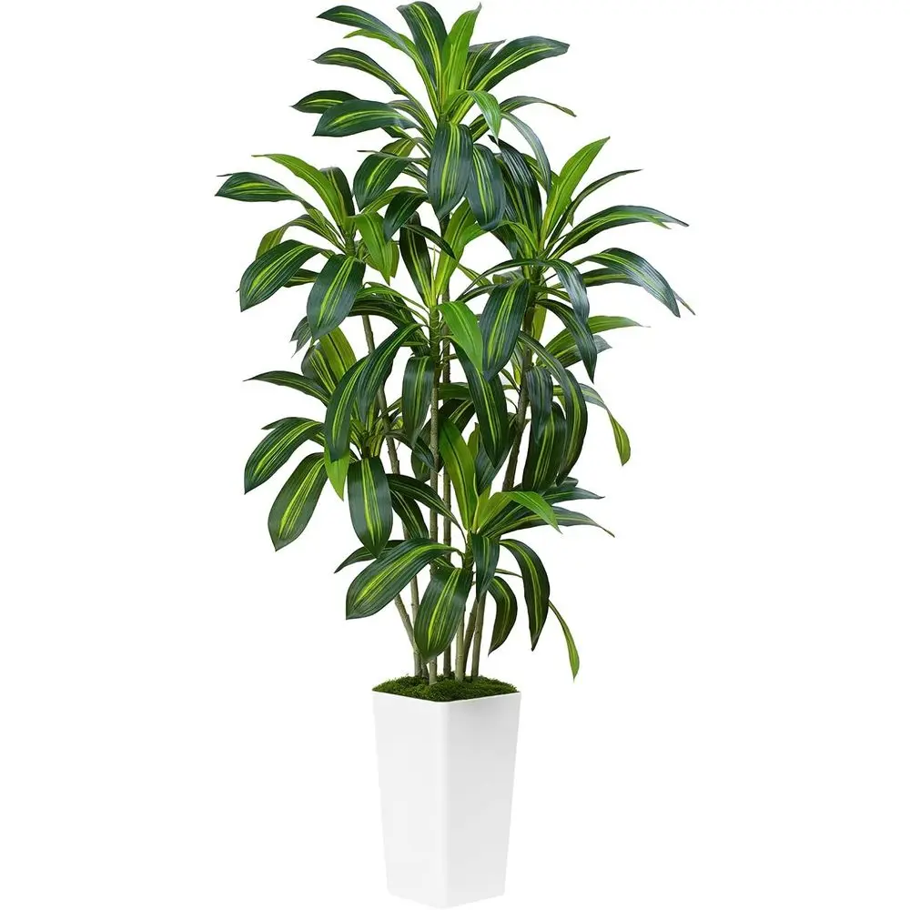 

Искусственное дерево Дракена высотой 6 футов с листьями Real Touch – Тропическое напольное растение в горшке для дома или офиса, для декора внутри и снаружи помещений