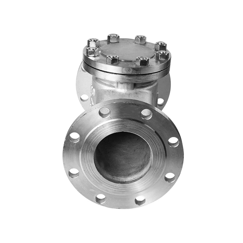 304 Stainless Steel 1/2 Inch Lift Check Valve H41W-16P Horizontal Flange Connection One-Way Water Check Valve
