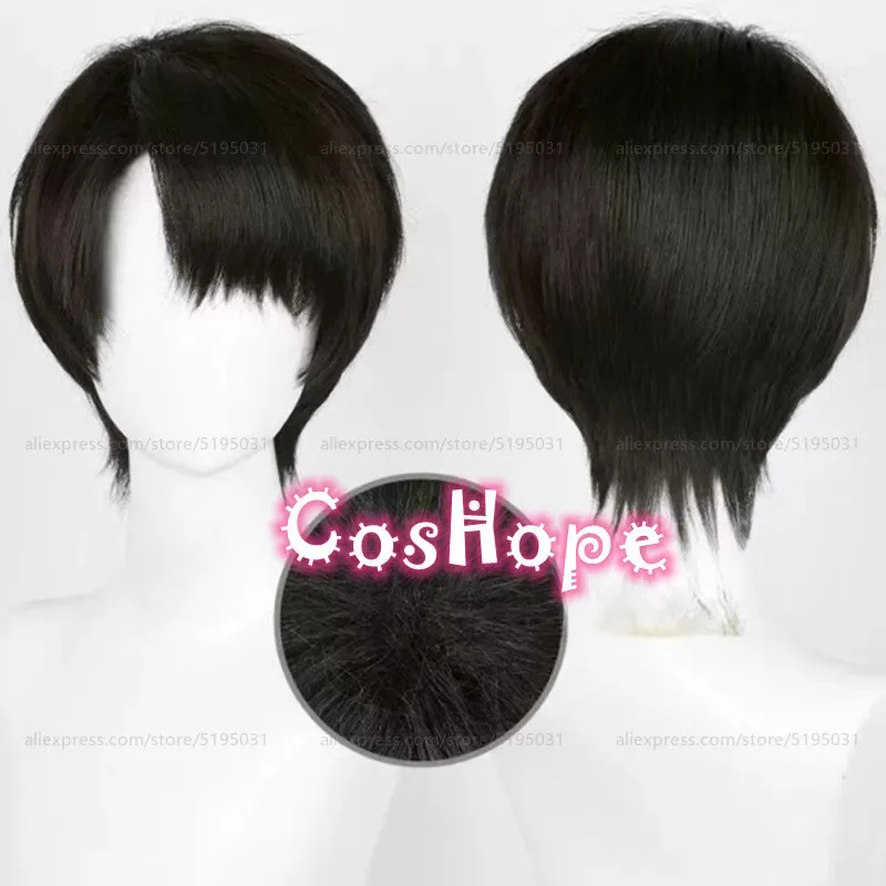 2025 Levi Ackerman Men 30cm Short Black Brown Wig Anime Cosplay Heat Resistant Synthetic Wigs Halloween