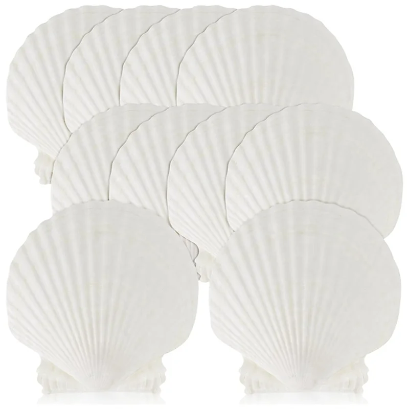 

15 PCS Natural Sea Shell Large White, 4-4.7 Inch Scallop Shells for DIY Craft, Serving Food, Baking and More