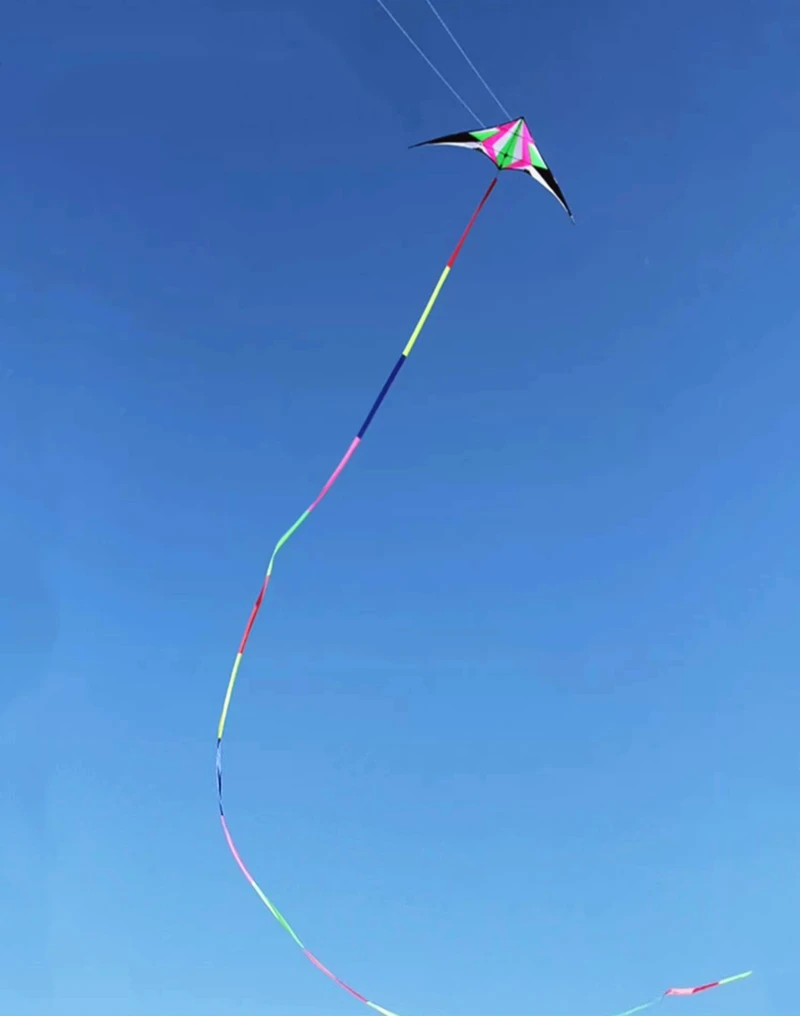 Kites acrobáticos de doble línea de 240cm, pipas voladoras para adultos, línea de cuerdas, pipa profesional, software de aire, pipa extragrande