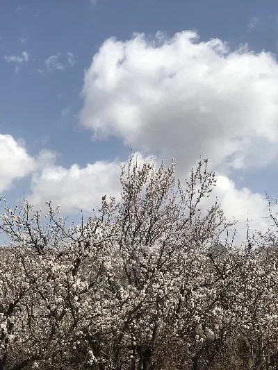 

Запасные части для YIKONG 4072 1/7: задний прямой мост, корпус волновой коробки из алюминиевого сплава для YK DF7 Short Card YIKONG