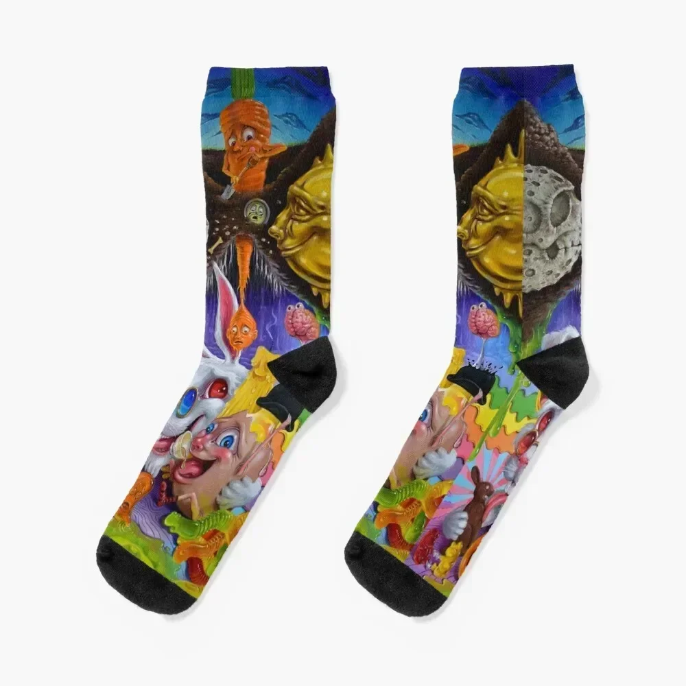 

Dig Your Own Rabbit Hole Socks japanese fashion Antiskid soccer Climbing loose Men Socks Luxury Brand Women's