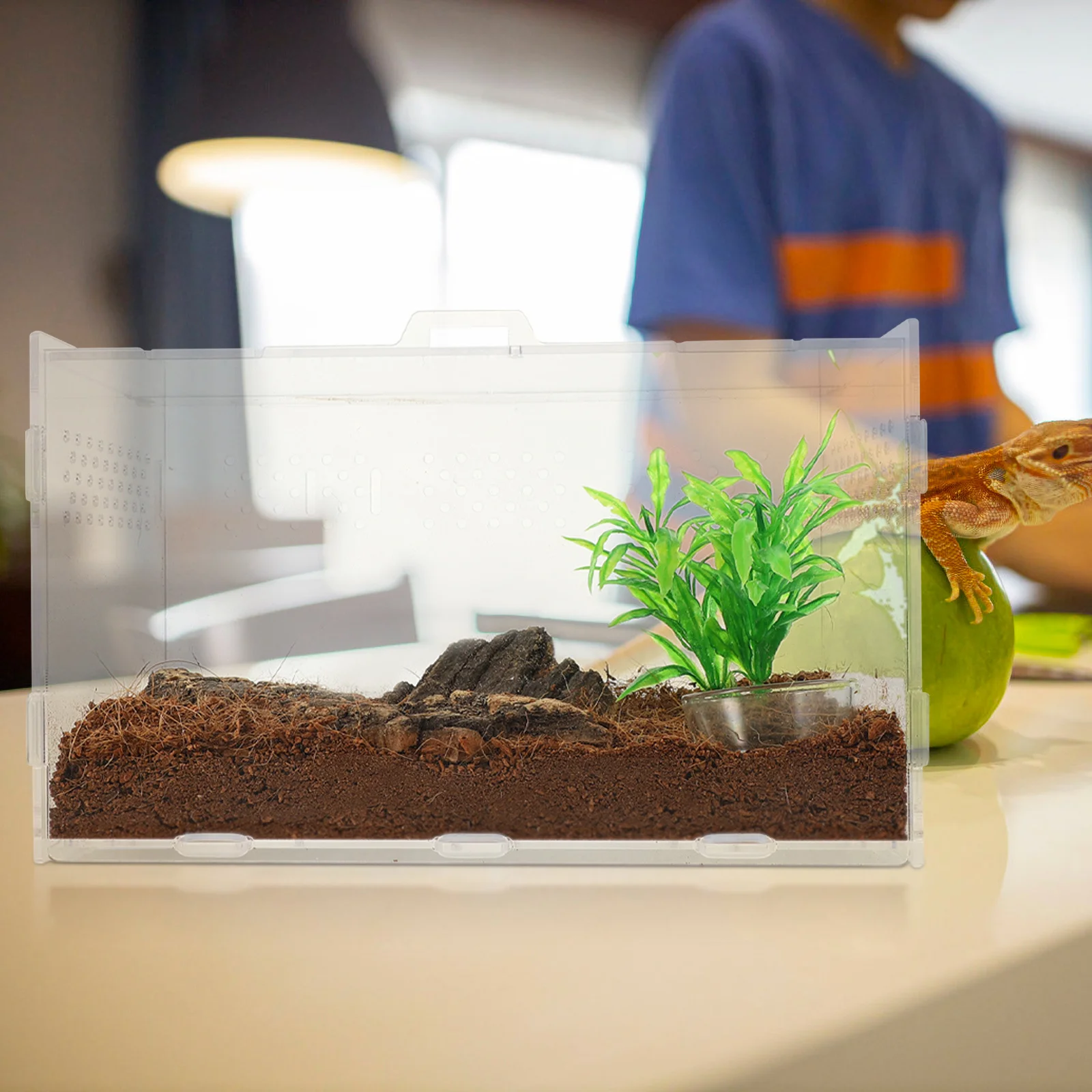 

Transparent Acrylic Reptile Terrarium Durable Breeding Enclosure for Small Lizards Gecko Tarantula Spider Snake Turtle