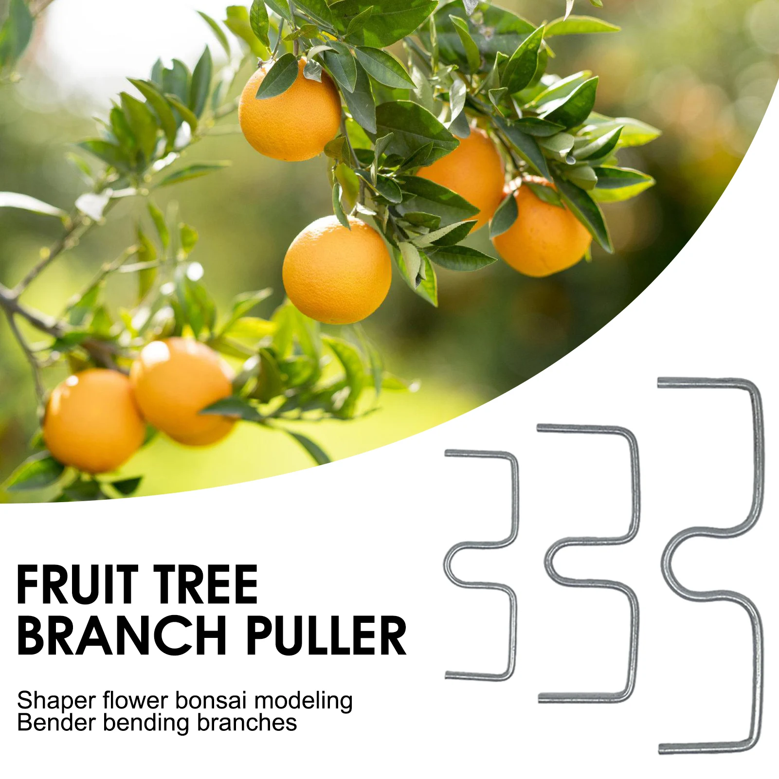 

Fruit Tree Branch Pressing Spreader Promote Uniform Distribution of Branches for Spreading Crotch Angles Branches