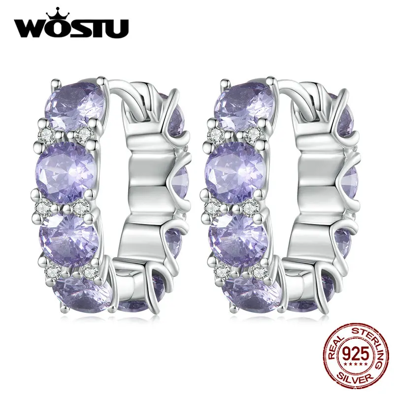 WOSTU Big Stone 925 Sterling Silver Classical Round Purple Crystal Hoop Earrings Women Original Wedding Drop Earring Pendientes