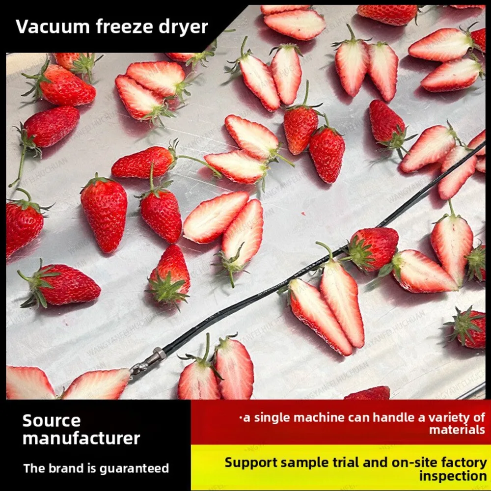 

Red Heart Kiwi Dryer Inspection Sample Vacuum Machine Cylinder Food Grade Freeze Drying Equipment