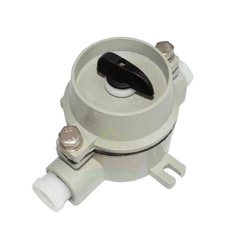 Super 220V/380V Explosion-Proof Safety Interlock Switch Aluminum Alloy Housing IP65 Waterproof Corrosion-Resistant Industrial Ex