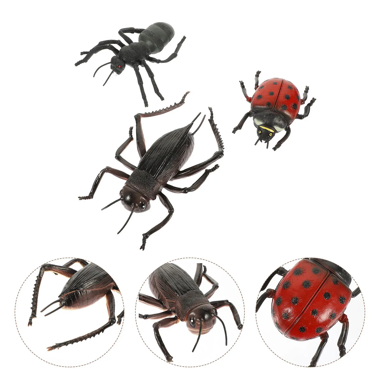 3pcs-simulation-animal-ornament-lifelike-ladybird-ant-roach-educational-cognitive-desktop-decoration-natural-realistic-design
