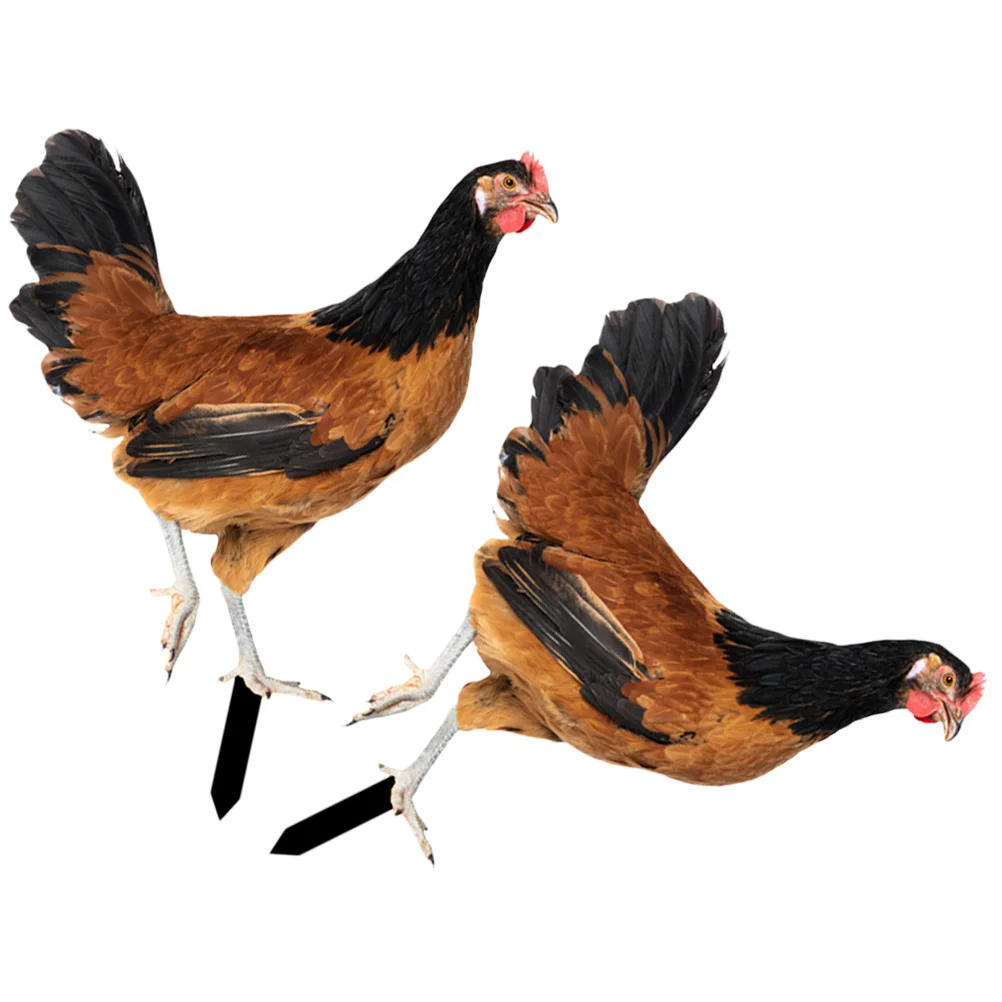 

2pcs Large Acrylic Garden Chicken Decoration Three Dimensional Yard Ornaments Realistic Shape Courtyard Outdoor Stakes