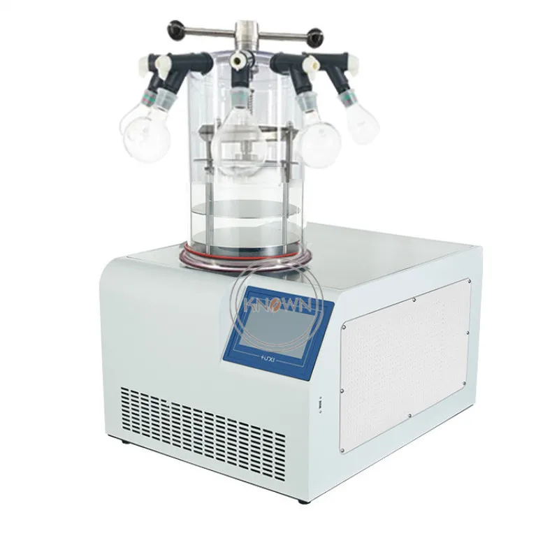 Small Desktop Vacuum Freeze Dryer Machine Multifunctional Dehydrator for Vegetables Fruit Cordyceps Medicinal Laboratory