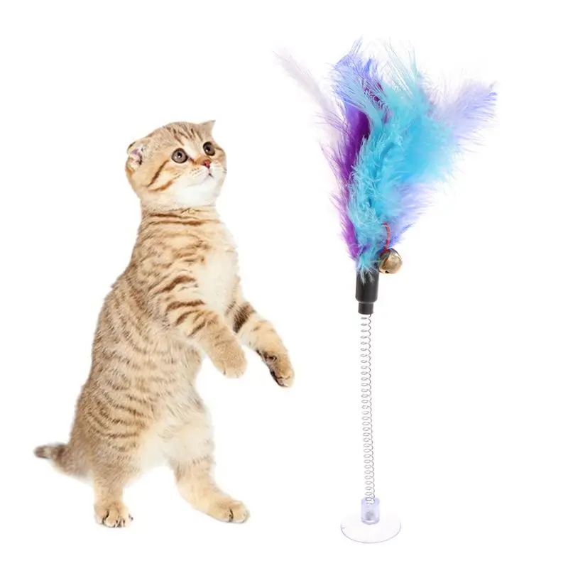 for Cat with Suction Cup Kitten Teaser Fun Interactive