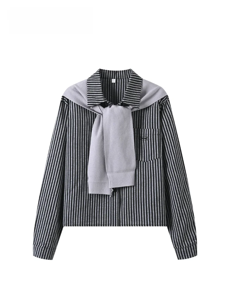 

Loose Fit Striped Long Sleeve Shirt Women's plus Size Spring New Style Fashion Top Casual Wear Polyester Cotton Blend