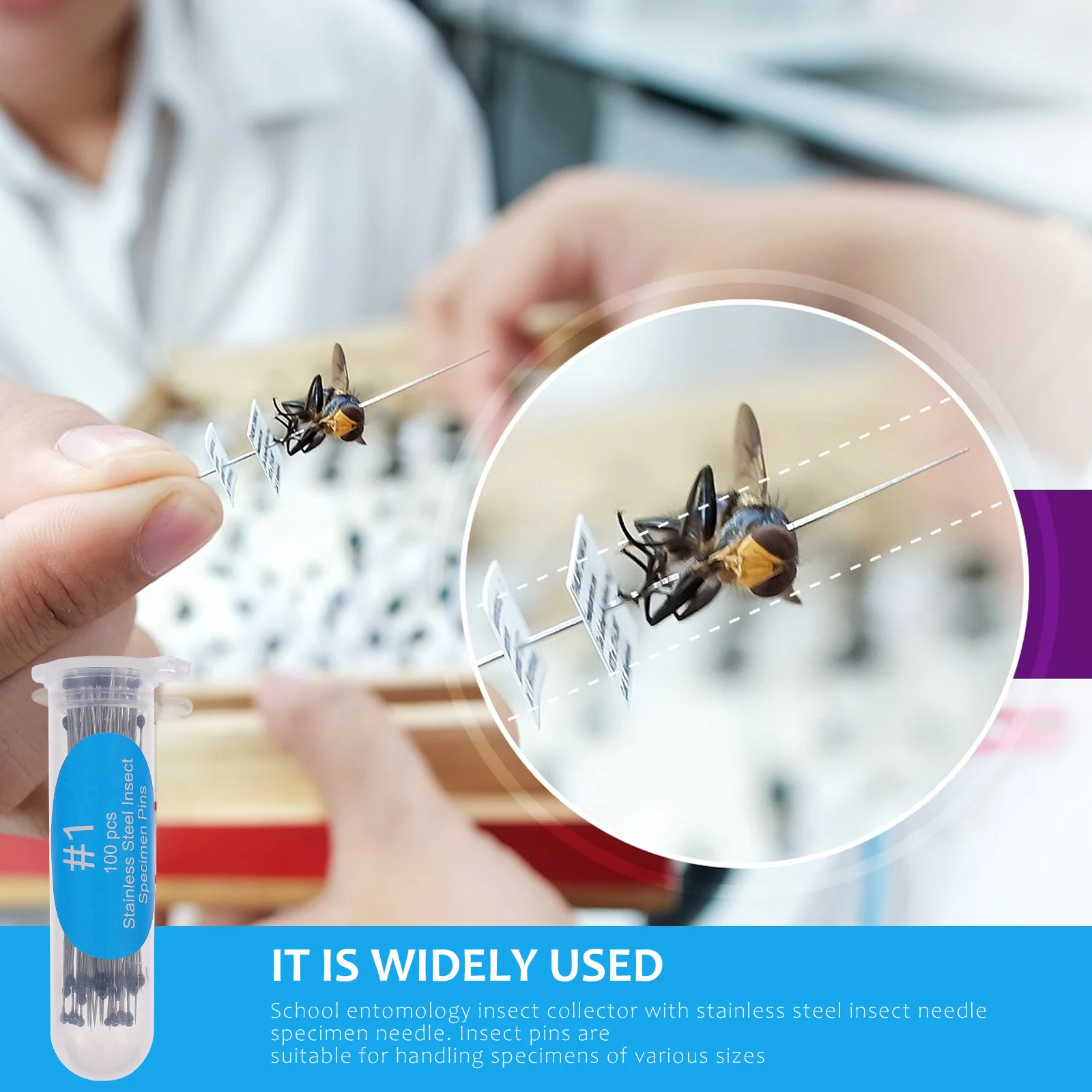 

100 pcs Specimen Specimen Entomology For Entomology Display Tool Parts #1 Silver Pin