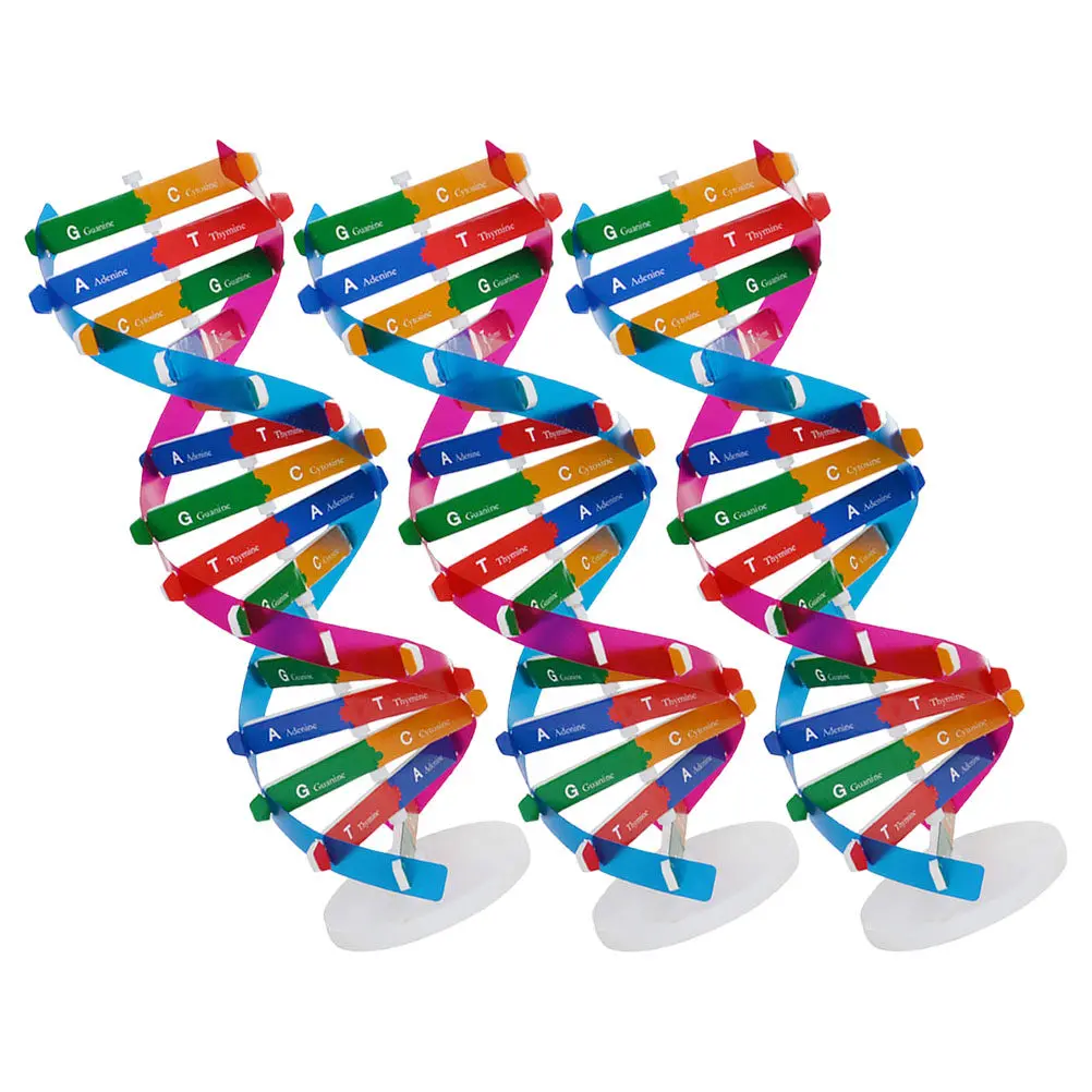 3pcs-gene-dna-double-helix-diy-assembly-kit-for-biology-learning-educational-tool-science-molecular-structure-study-aid-students