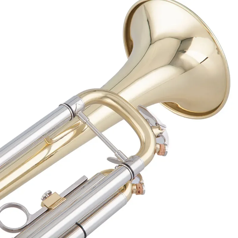 Good Quality Trumpet China