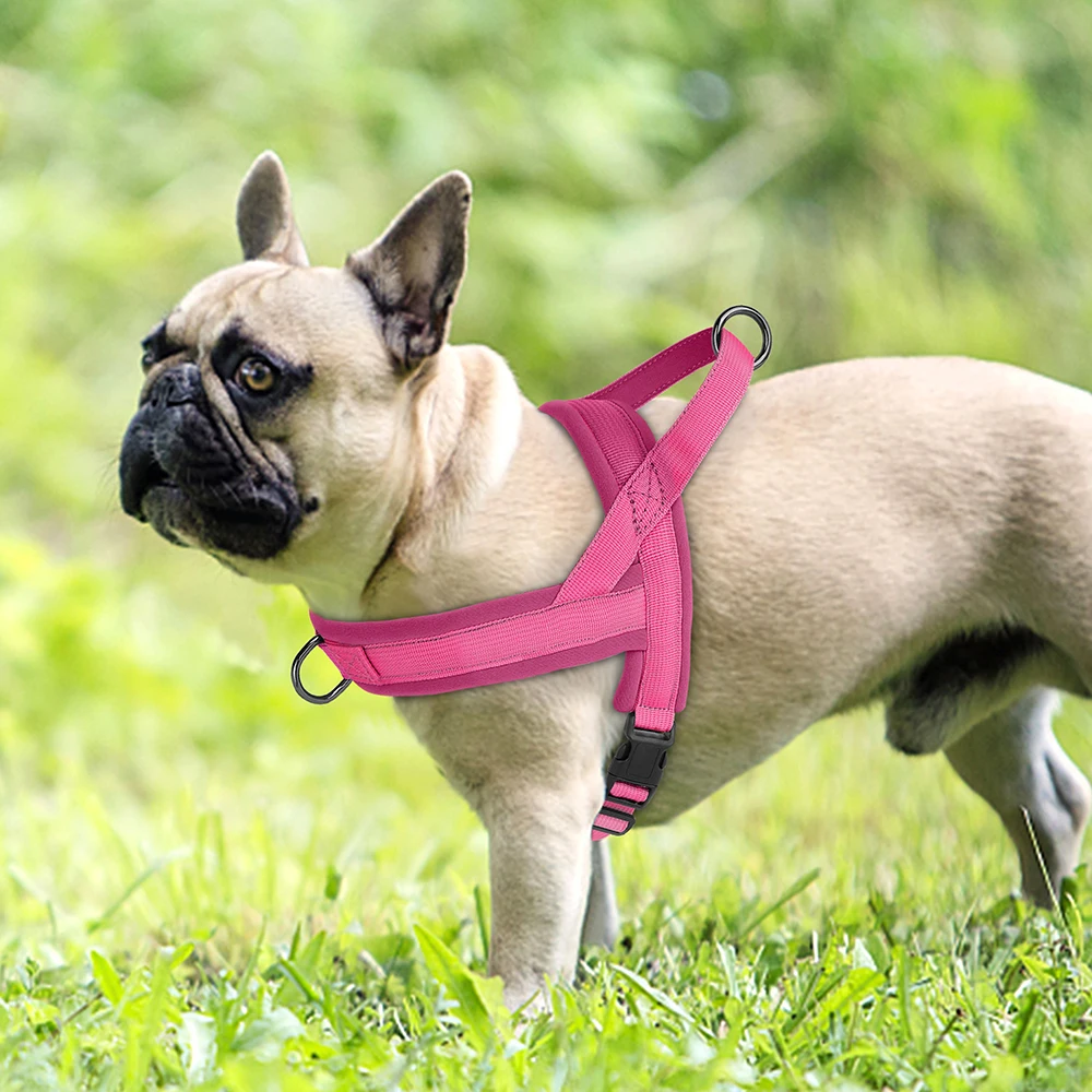 Weiches, nicht ziehendes Geschirr für kleine und mittelgroße Hunde, Nylon, Pitbull-Hunde-Welpengeschirr, gepolsterte Haustierweste, verstellbar für kleine Hunde, Chihuahua, Mops – Detail 18