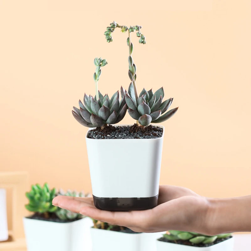 Self Watering Plant Pot with Clear Water Level Window Automatic Flower Planters for Indoor Outdoor No Spill Design Drainage Tray