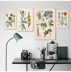Vintage Botanical Herbs Posters and Prints Home Wall Decor , Antique Plant Botany Wall Art Canvas Painting Pictures for Kitchen