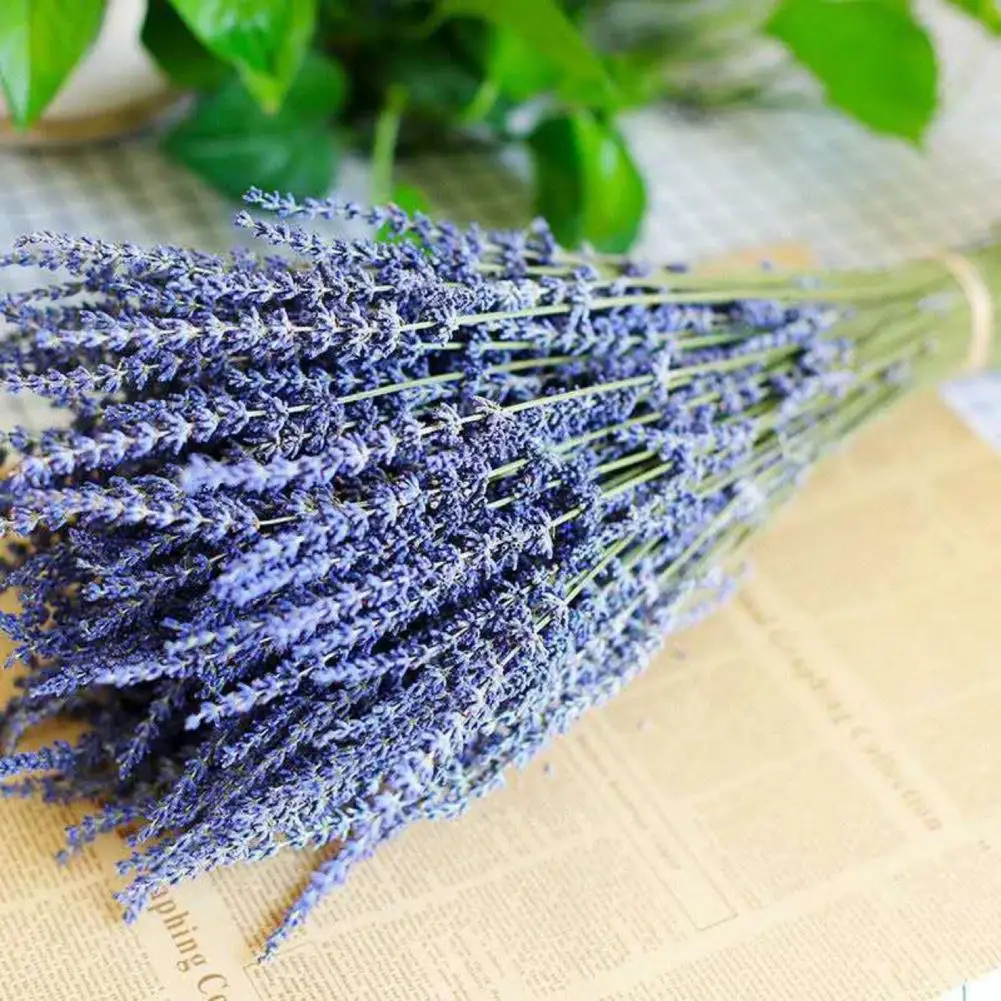 1 Box Natural Dried Lavender Sweet Scent No Watering Wedding Decor Bedside Better Sleeping Flower Arrangement Natural Plants