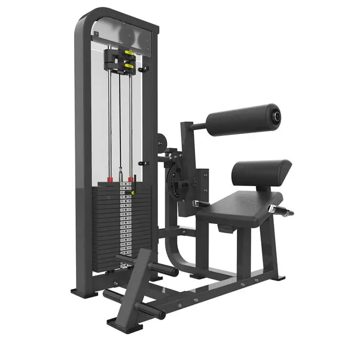 

Commercial Gym Equipment Pin Loaded Machine Abdominal Crunch & Back Extention Dezhou Factory