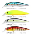 BDFH 101