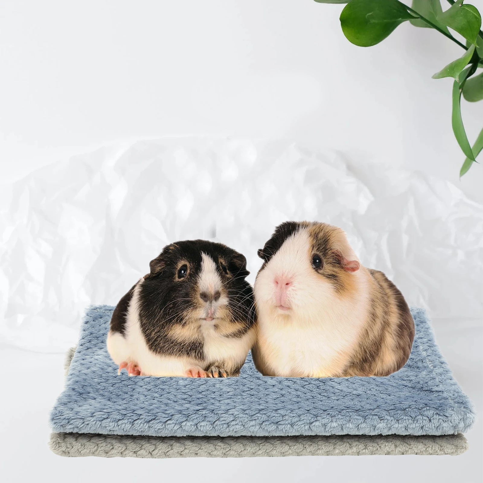 

2pcs Guinea Pig Blanket Comforter Rabbit Bed Cage Liners Soft Corn Wool Absorbent Pet Bedding Small Animals Durable