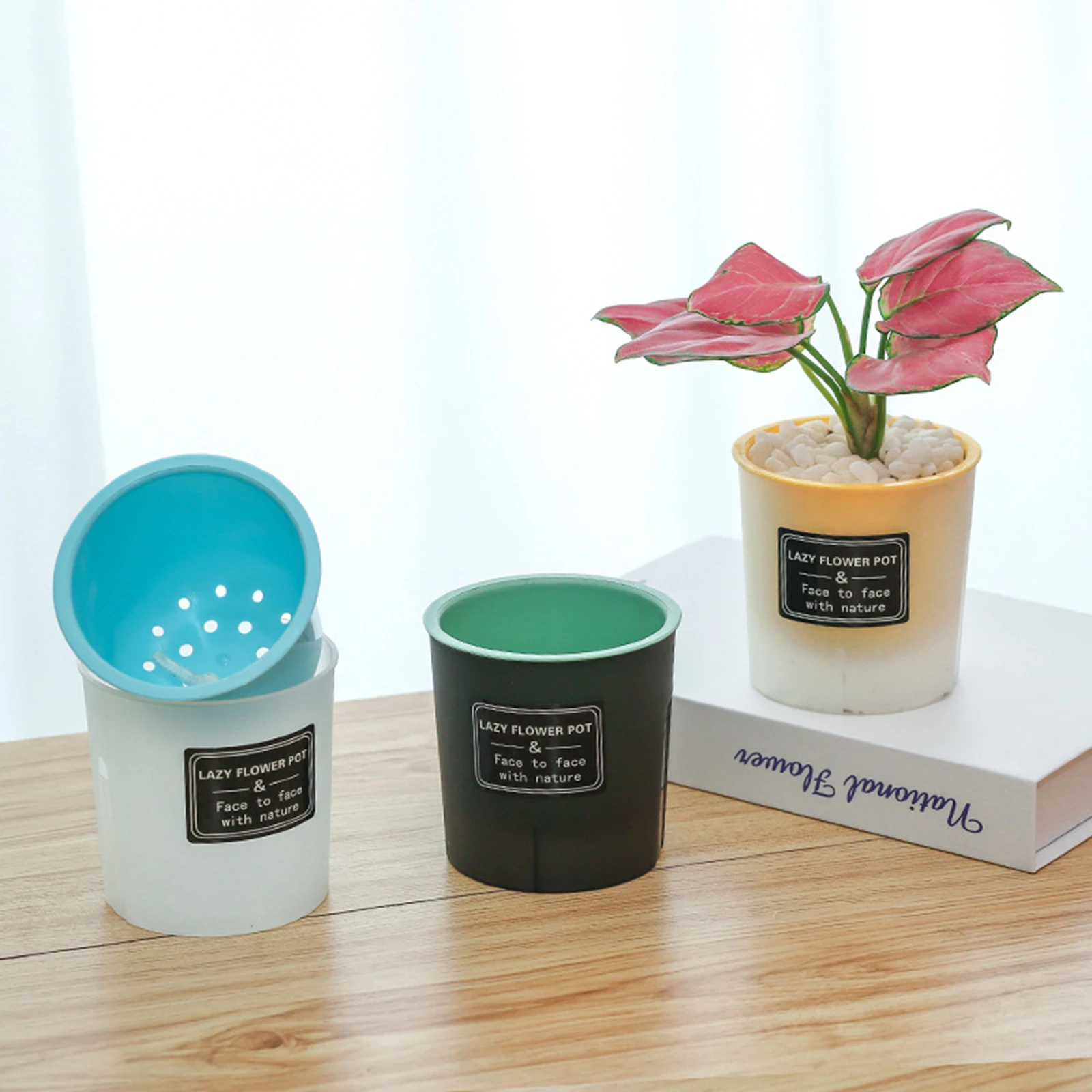 Translucent and Detachable Flower Pot No Deformation Pretty Flower Pot Plant Roots Breathing Draining Better Self-watering