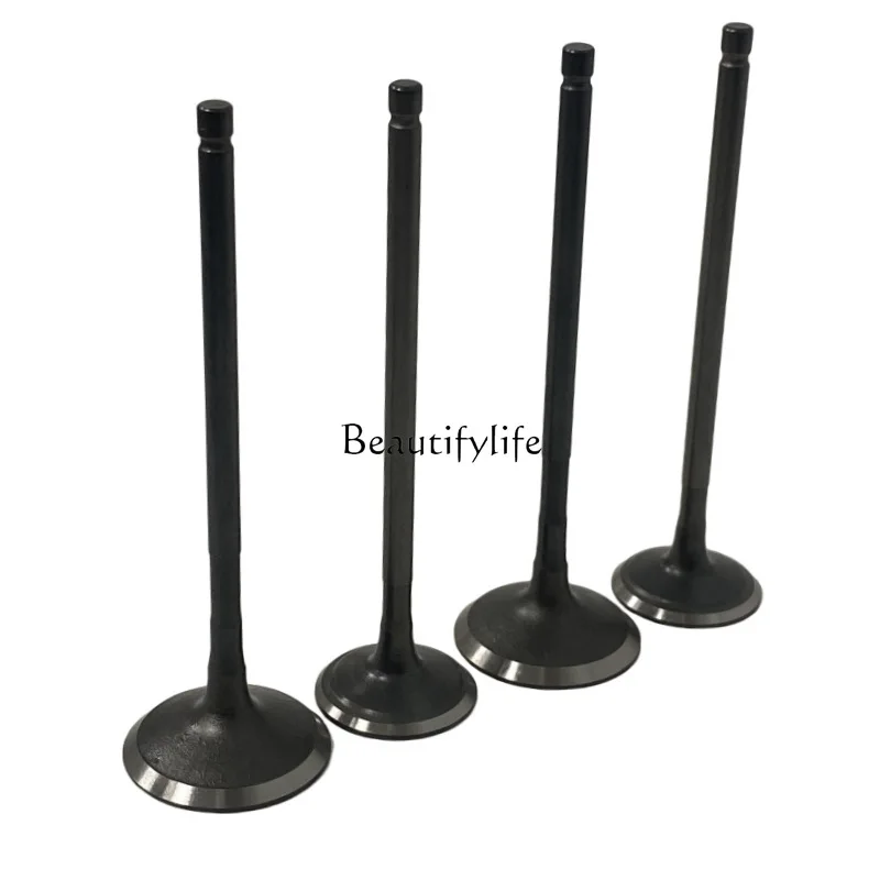 

Motorcycle valves for 200NS NS200 AS200 Rouser 200 valves