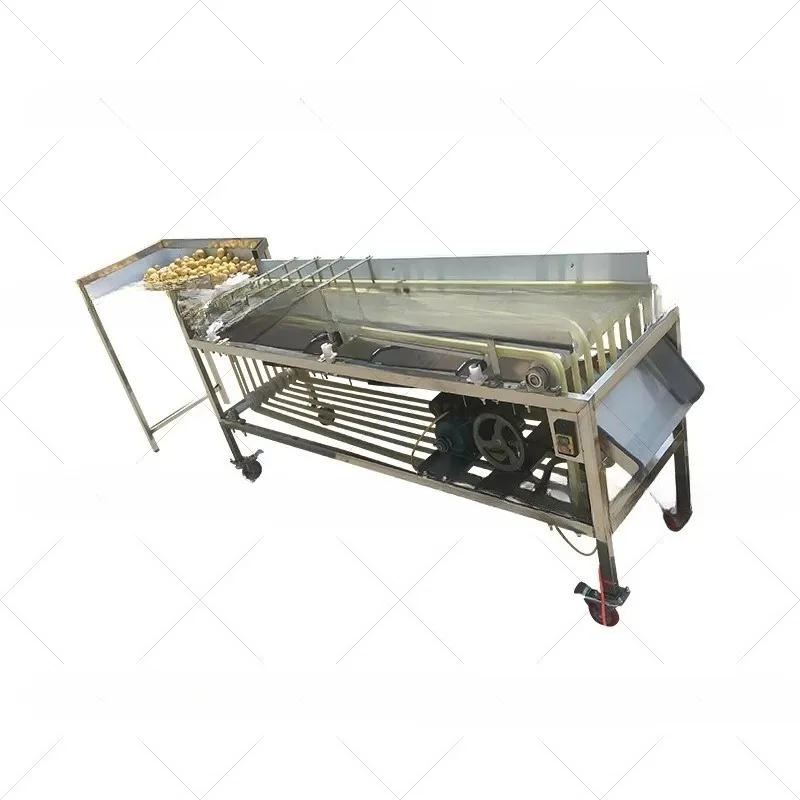 Root Vegetables Avocado Sorting Washing Machine Sales Price Olives Fruit Dates Potatoes Apple Tomato Cleaning Classifier