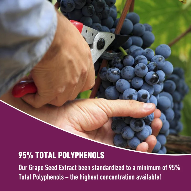 Grape Seed Extract - Whitening Capsule, Eliminate Facial Wrinkles, Brighten Skin Tone, Beauty Health