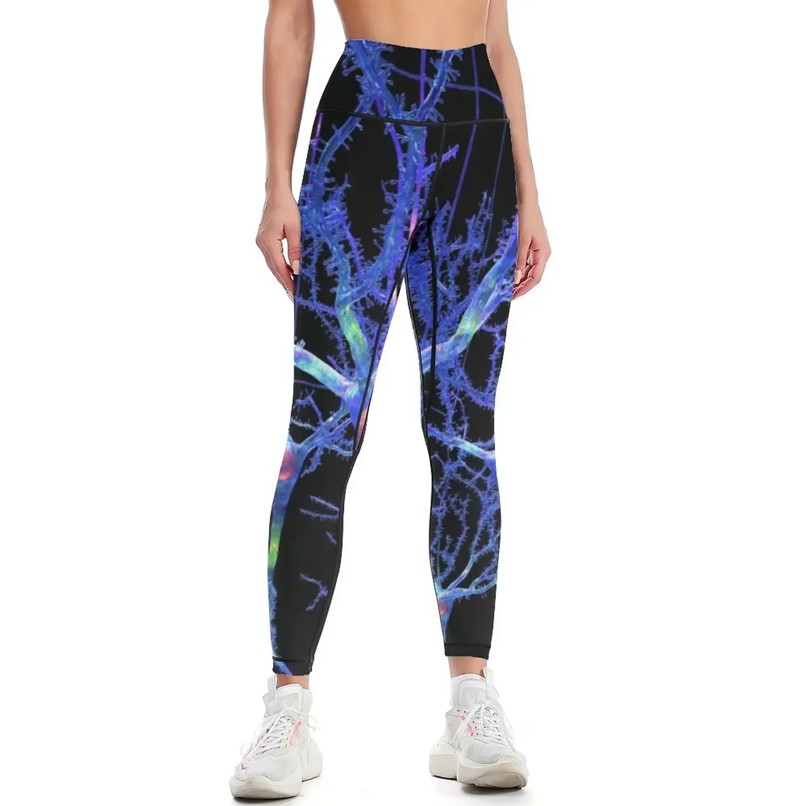 

Blue Neurons or Brain Cells Leggings Women's push up push up legging sport legging flared Womens Leggings