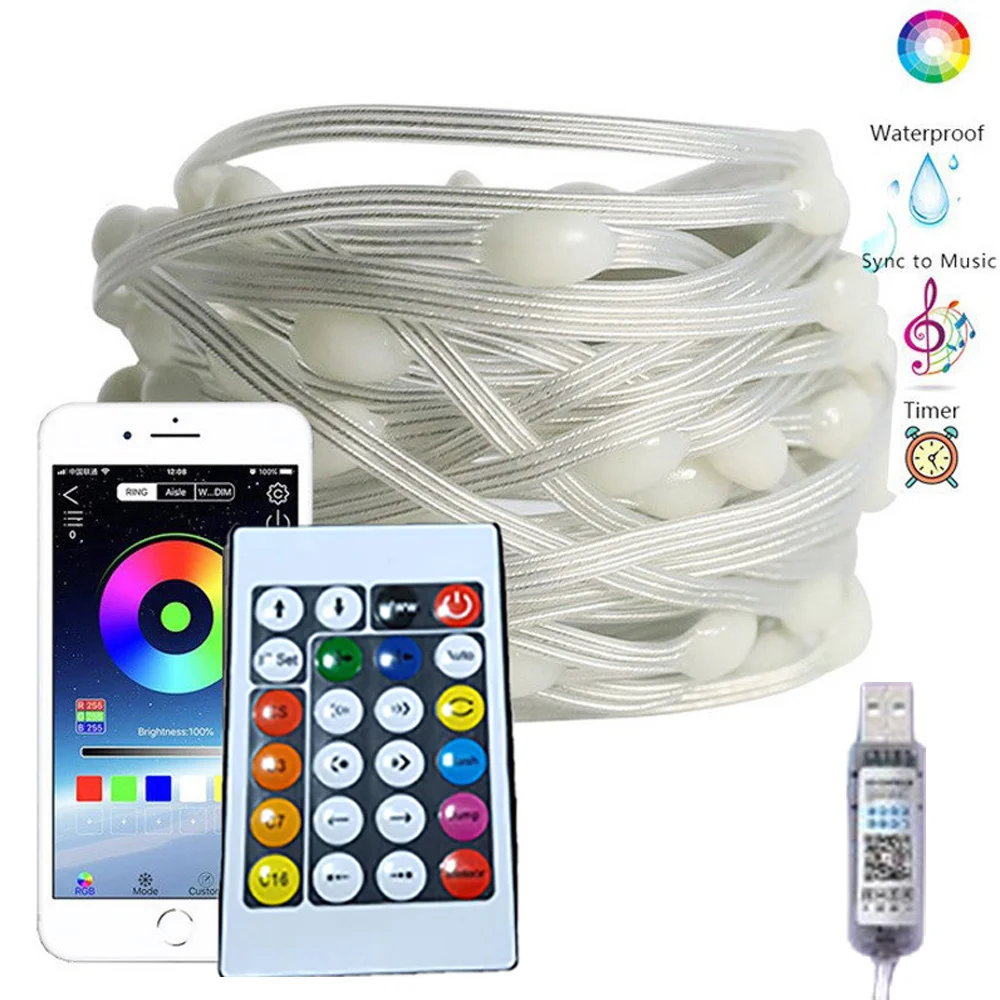 Rgb Led String Lights Remote Bluetooth Usb Smart Fairy Lights Slinger Waterdichte Festoen Outdoor Indoor Kerstfeest Decor