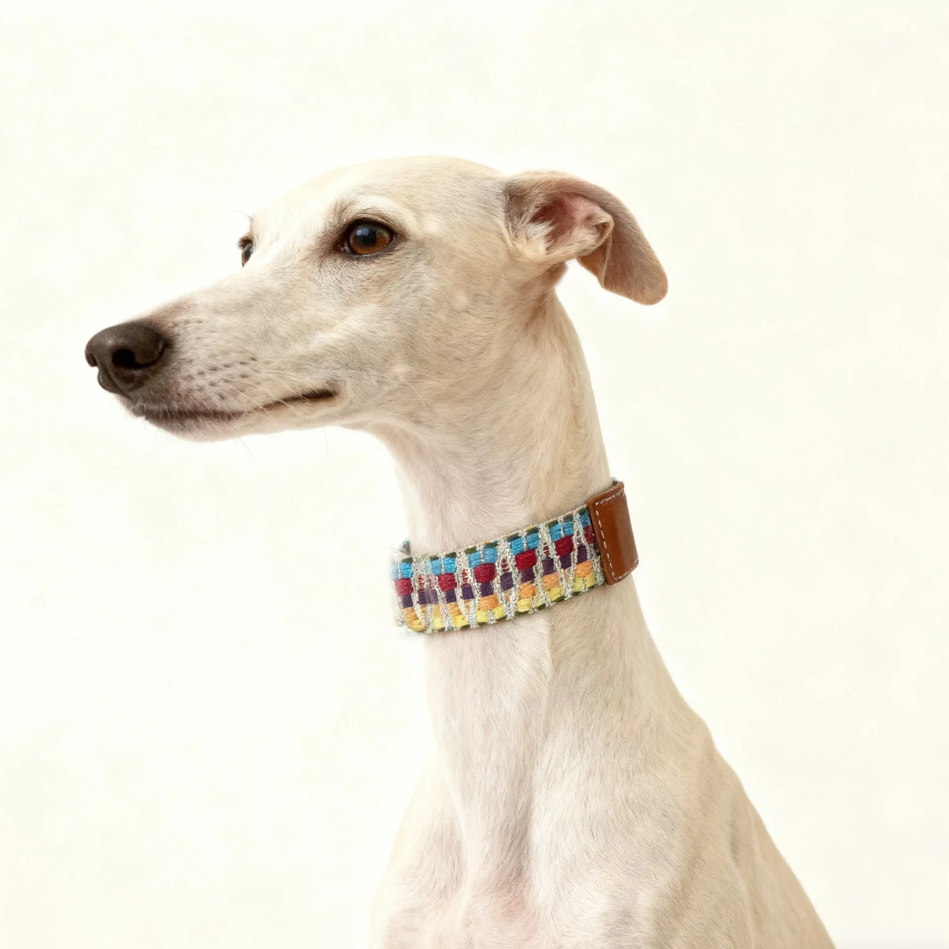 Bohemian Hand Woven Dog Collar 3.8CM Wide Genuine Leather dog collar Soft Cotton Webbing Heavy Duty Pet Walking Leash view 5
