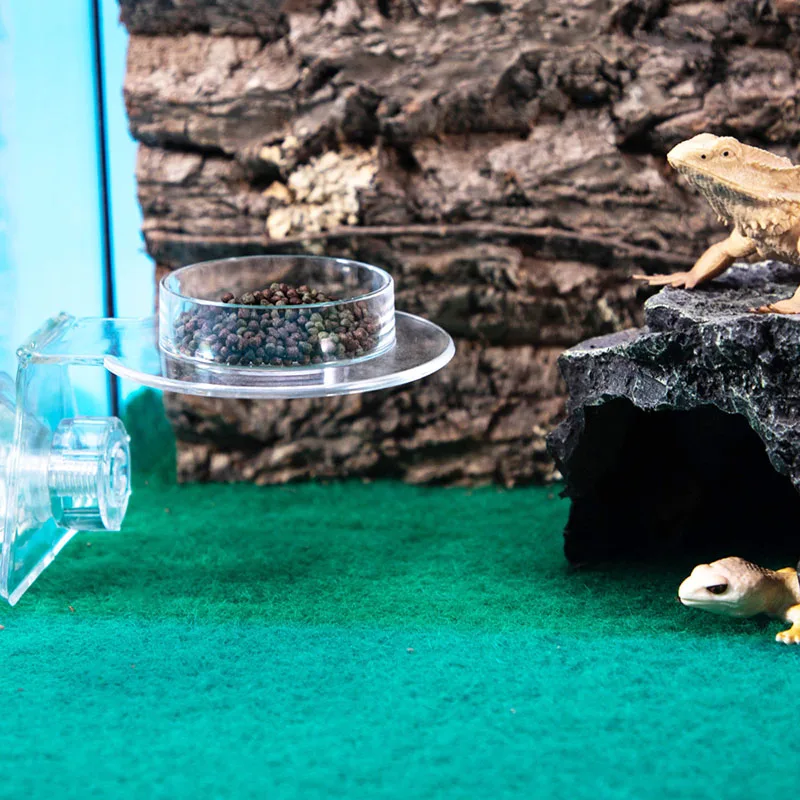 Acrylic Crawling Pet Feeding Water Bowl with suction cup Turtle Lizard Scorpion Snake Bird Hamster Feeding Food Bowl