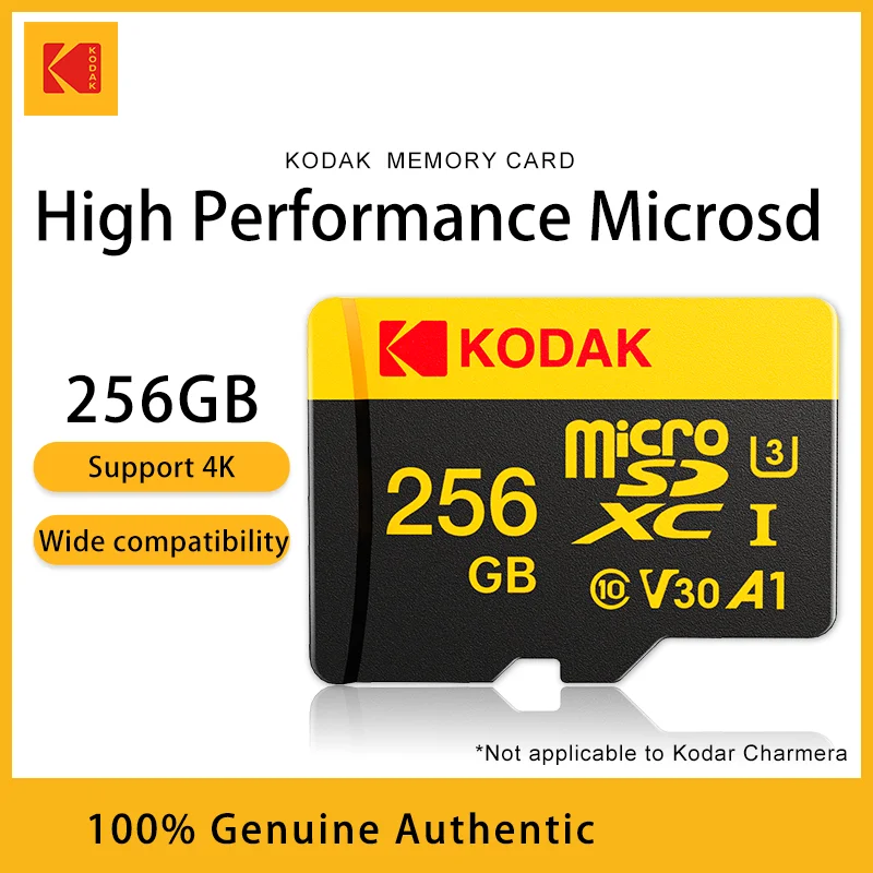 256GB