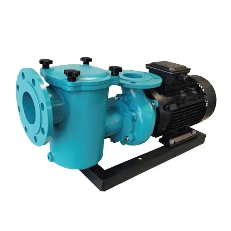 

Cast iron filtered water large flow swimming pool pump, commercial swimming pool hydrotherapy 5-10 horses