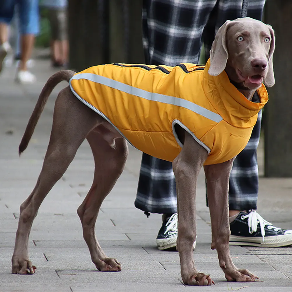 

Thickened Dog Cotton Coat Waterproof Windproof Warm Pet Raincoat For Outdoor Hiking Beach Use Dog Breathable Clothes Pet Supply