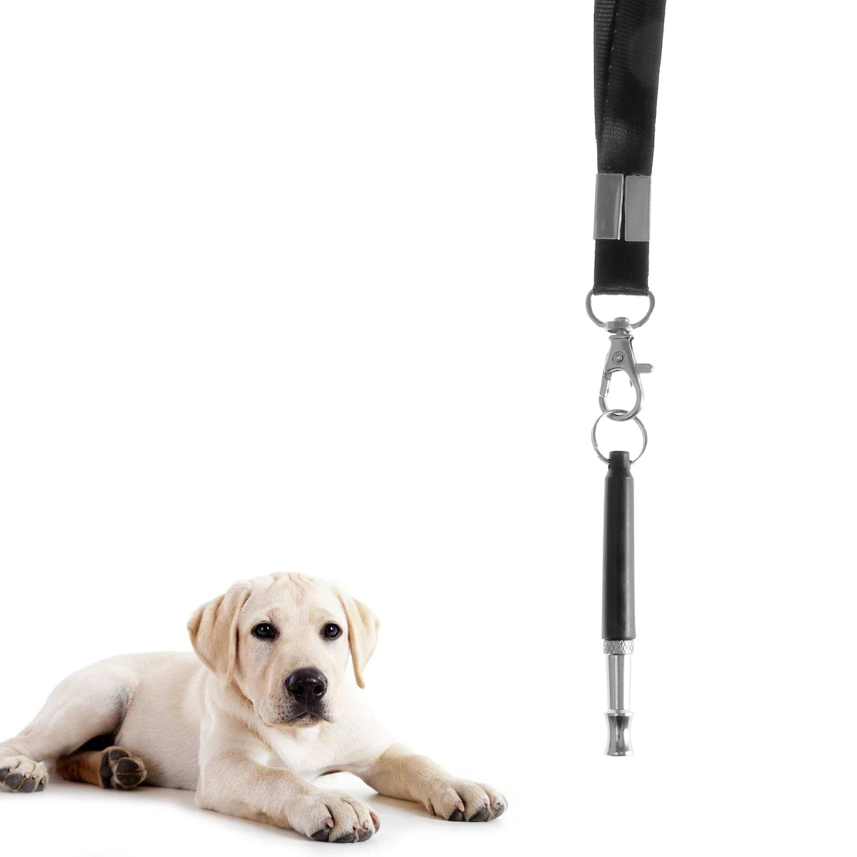 

Dog Whistle Training Device Strap Stop Barking Sound Frequency Adjustable Repeller Pet Obedience Kits Dog Training